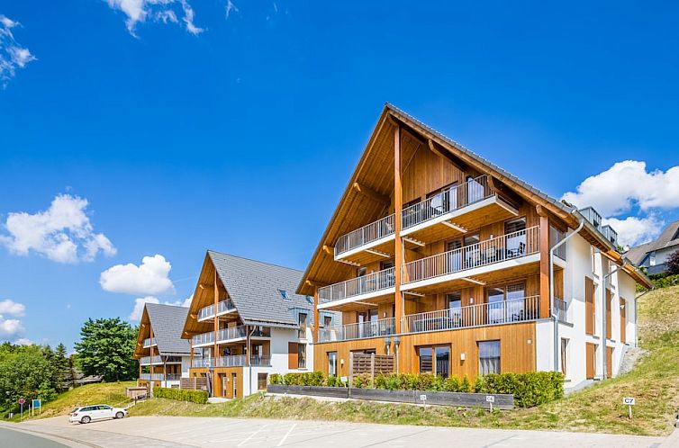 Ontdek Appartement 4-6 in Winterberg, Duitsland: Stijlvol vakantieappartement met ruime terrassen en bergzicht.