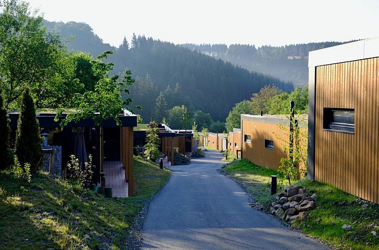 Vrijstaande woning in Winterberg