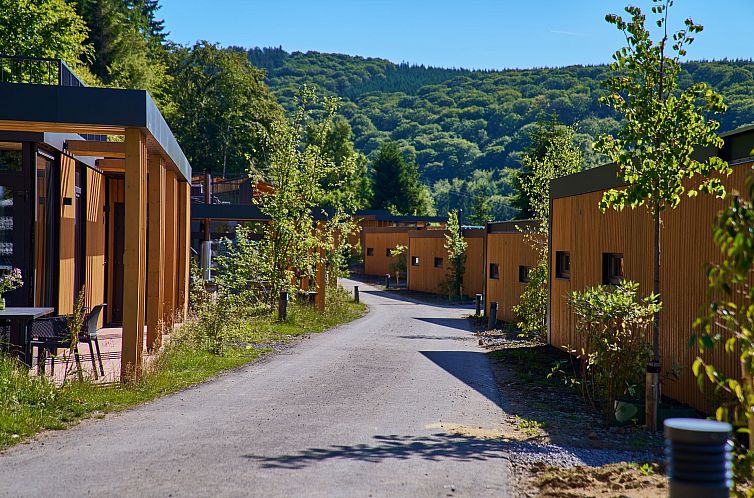 Vrijstaande woning in Winterberg