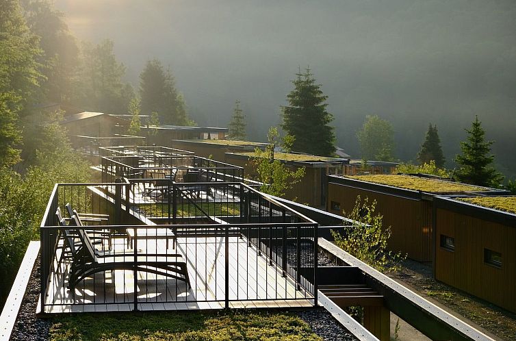 Vrijstaande woning in Winterberg