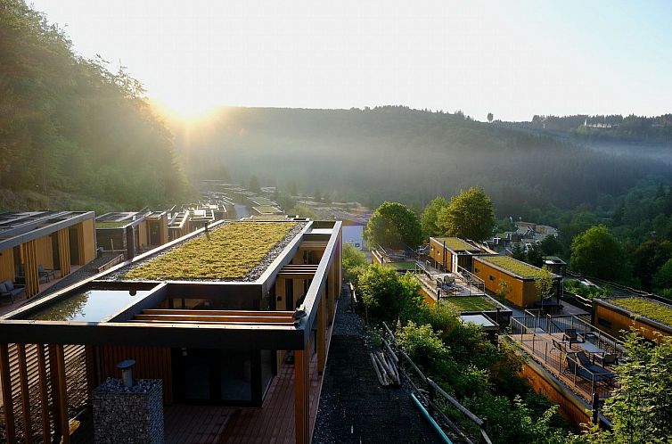 Vrijstaande woning in Winterberg