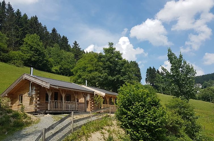 Vakantiehuisje in Winterberg