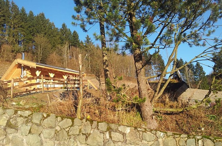 Vakantiehuisje in Winterberg