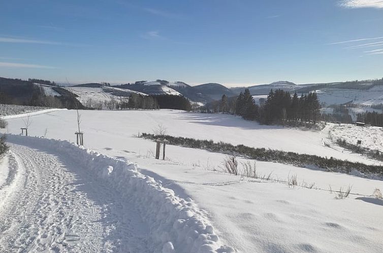 Vakantiehuisje in Winterberg