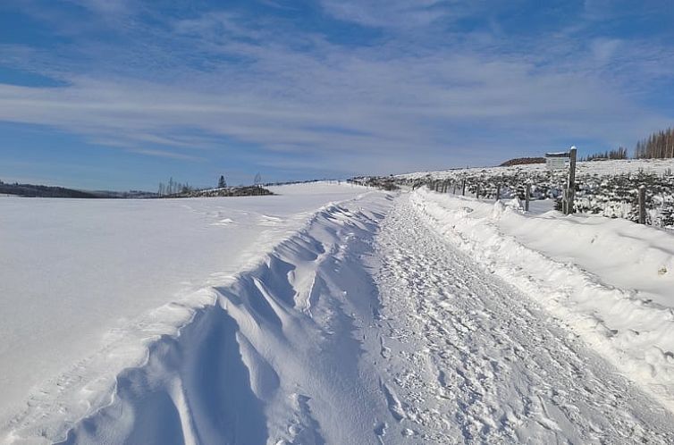 Vakantiehuisje in Winterberg