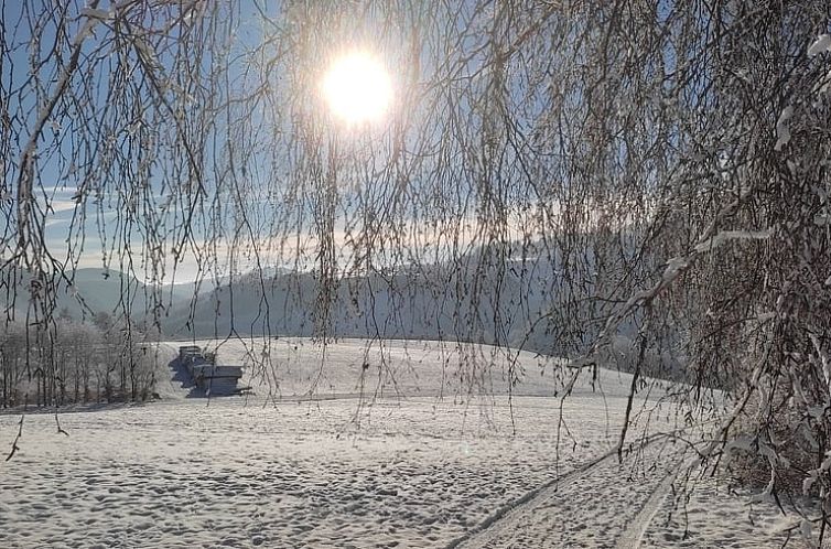 Vakantiehuisje in Winterberg