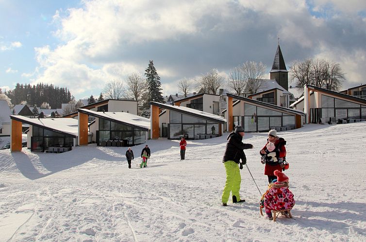 Vrijstaande woning in Winterberg
