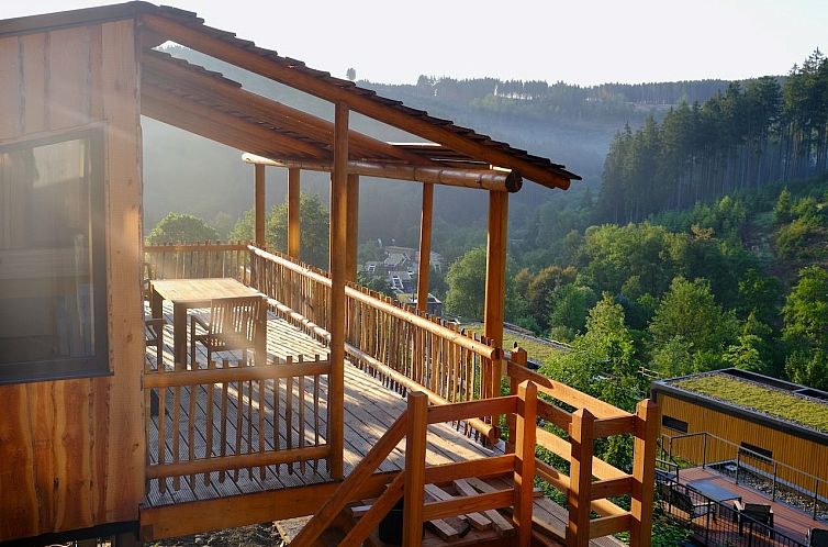 Vrijstaande woning in Winterberg