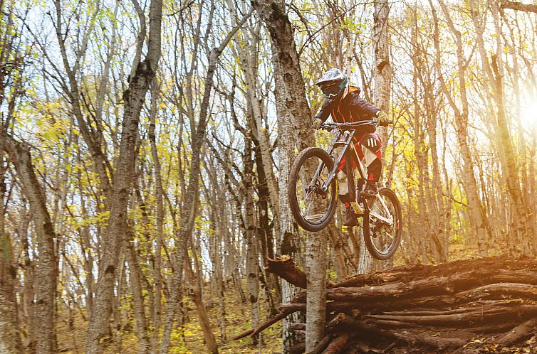 Appartement in Winterberg