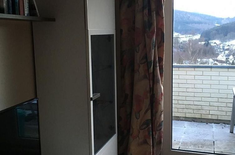 Appartement Berg- und Seeblick am Hillebachsee