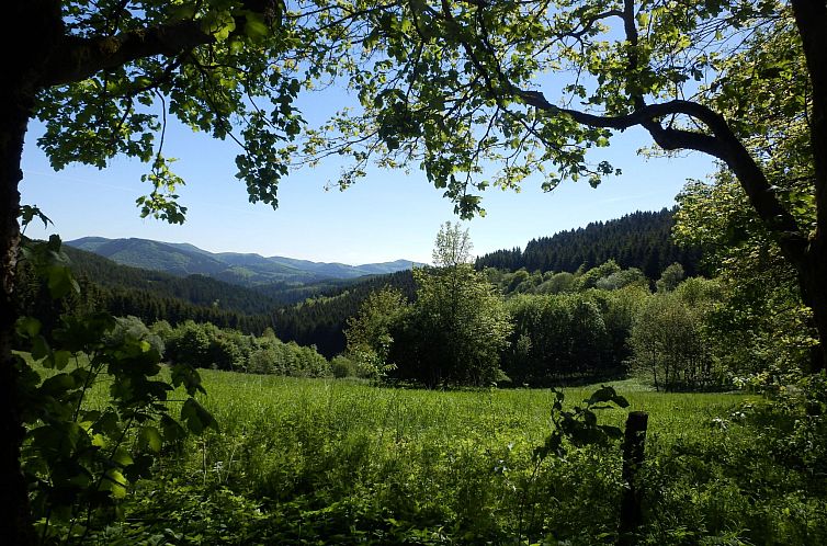 Appartement mit privatem Balkon
