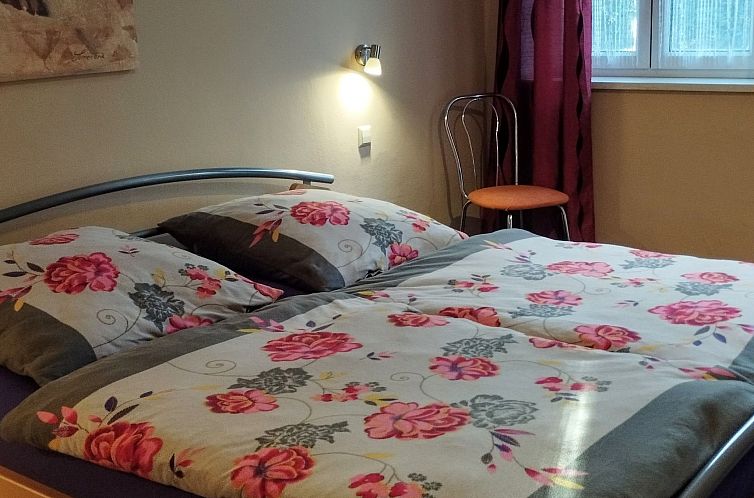 Guest house 0290606 - Apartment Saxony - Appartement Apartment 1