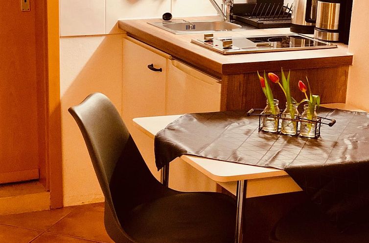 Guest house 0290612 - Holiday property Saxony - Vakantiehuis 