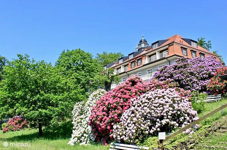 Guest house 0290819 - Apartment Saxony - Appartement 2-Raum-Ferienwohnung