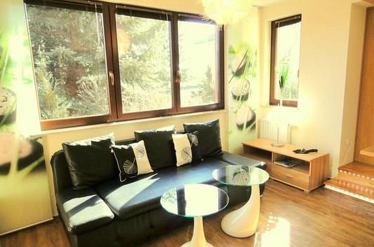 Appartement Fewo Ginkgo II