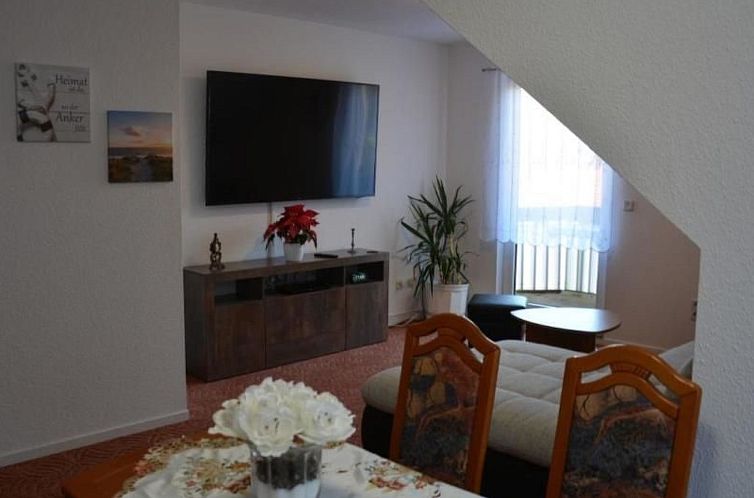Appartement kunstsammler