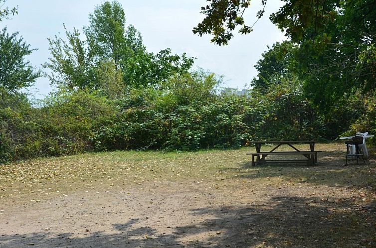 Appartement kunstsammler