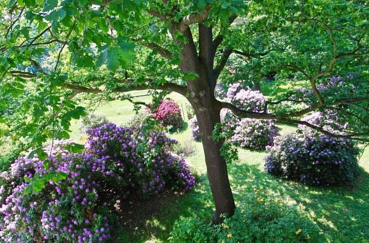 Appartement Fewo Natur und Kunst