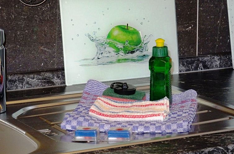 Appartement Appartement in Lockwitz mit Garten