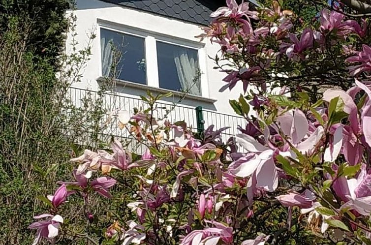 Vakantiehuis in Pirna mit Schöner Terrasse