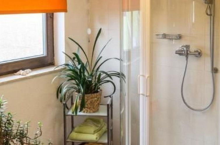 Appartement mit Fasssauna