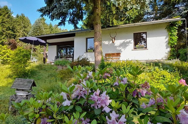 Unterkunft 0291406 - Ferienhaus Sachsen - Vakantiehuis Am Wald gelegenes Ferienhaus "Wolf" mit Kamin