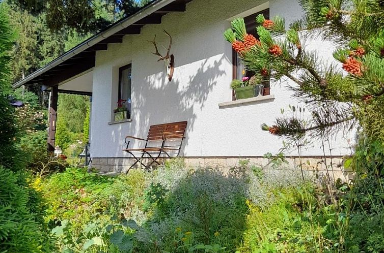 Vakantiehuis Am Wald gelegenes Ferienhaus "Wolf" mit Kamin