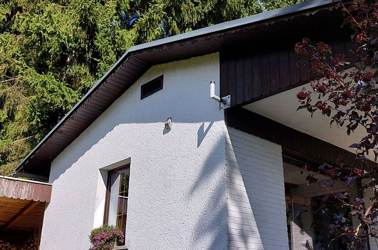 Vakantiehuis Am Wald gelegenes Ferienhaus "Wolf" mit Kamin