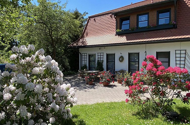 Appartement Geräumige Wohnung in Bad Elster mit Terrasse, G