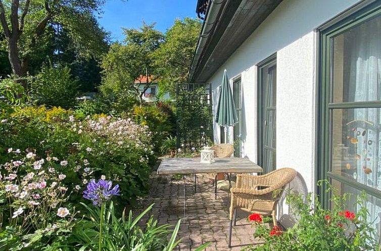 Guest house 0291408 - Apartment Saxony - Appartement in Bad Elster mit Grill und Terrasse
