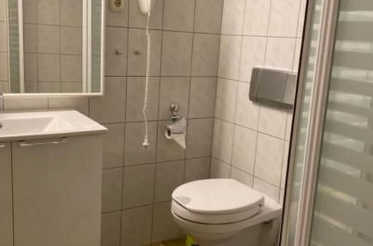Appartement Appartement in Bad Elster mit Grill, Garten und 