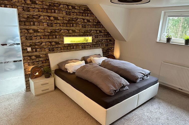 Guest house 0291411 - Apartment Saxony - Appartement Fe-Wo  Parkblick