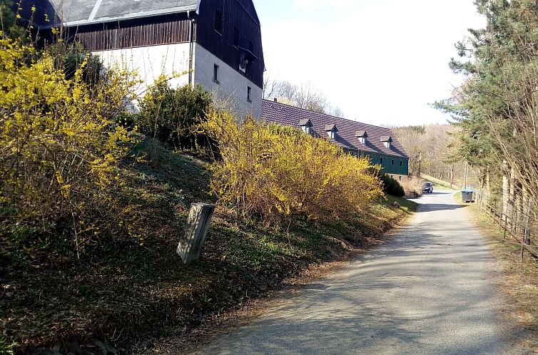 Appartement Wohnung in Bad Gottleuba