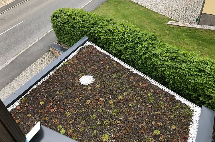 Appartement Schöne Ferienwohnung in Kurort Oberwiesenthal