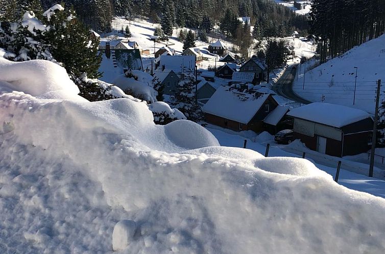 Vakantiehuis Tolles Ferienhaus in Klingenthal mit Großem Ga