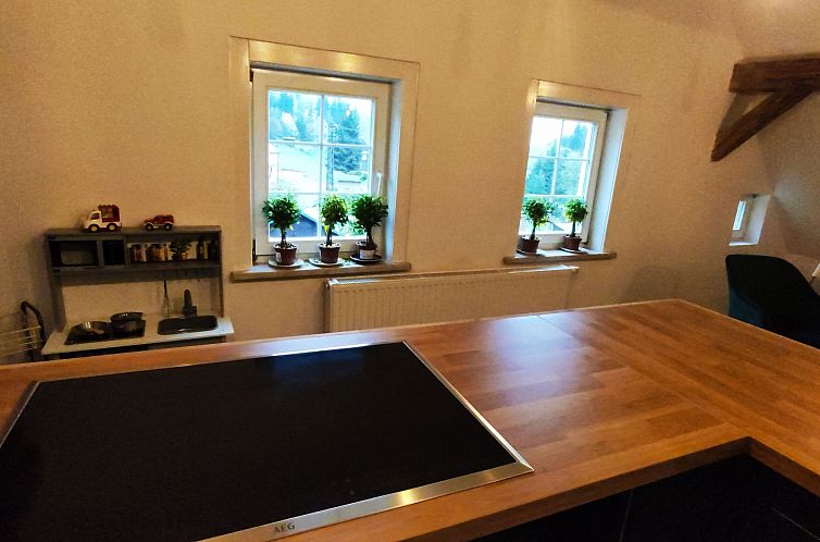 Vakantiehuis Tolles Ferienhaus in Klingenthal mit Großem Ga