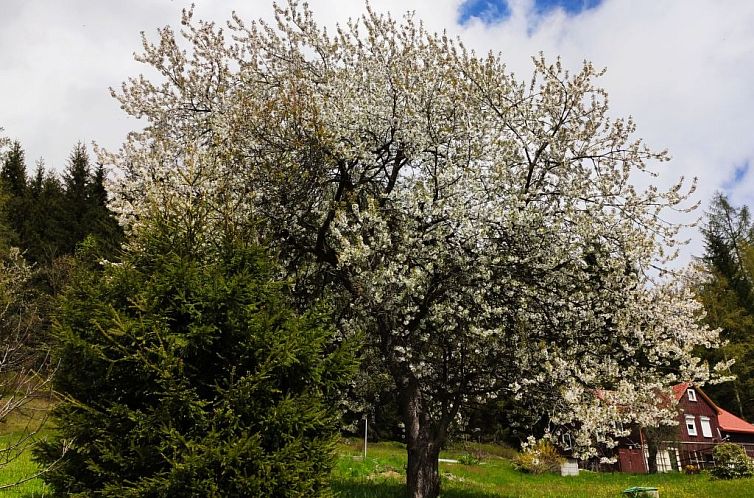 Vakantiehuis Tolles Ferienhaus in Klingenthal mit Großem Ga