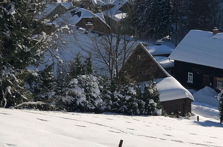 Vakantiehuis Tolles Ferienhaus in Klingenthal mit Großem Ga