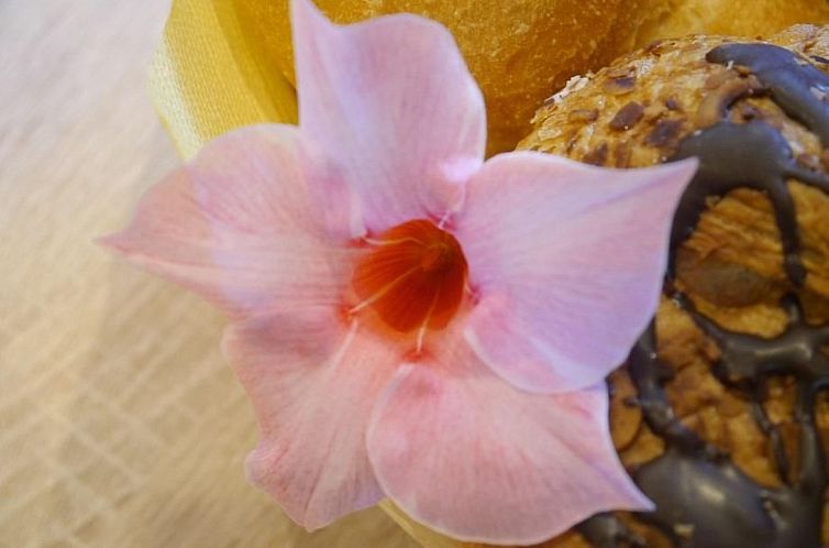 Appartement FeWo Siebert