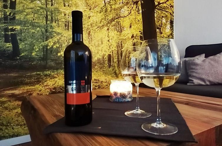 Vakantiehuis in Bad Brambach mit Großer Terrasse