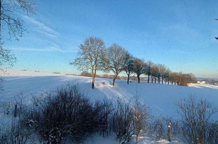 Vakantiehuis in Bad Brambach mit Großer Terrasse