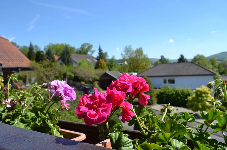 Appartement Tolle Wohnung in Hilders mit Eigenem Balkon
