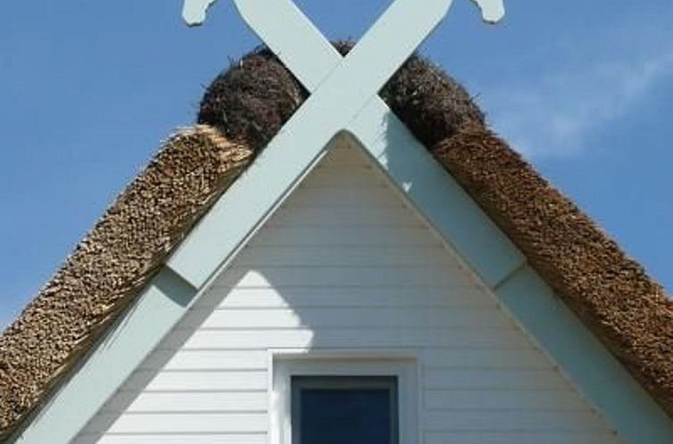 Vakantiehuis Traumfänger