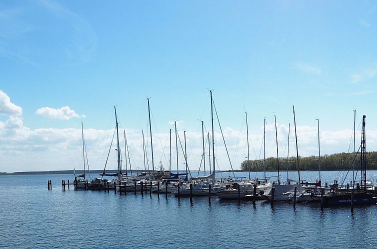 Vakantiehuis Traumhafte Reetdach-Doppelhaushälfte mit Garte