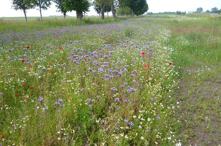 Vakantiehuis 4 Jahreszeiten