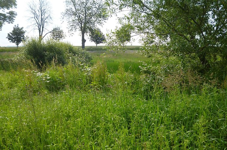 Vakantiehuis 4 Jahreszeiten