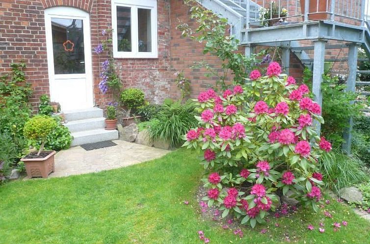 Unterkunft 03010405 - Appartement Ostsee - Appartement Charmante Wohnung in Dassow mit Terrasse und Gri