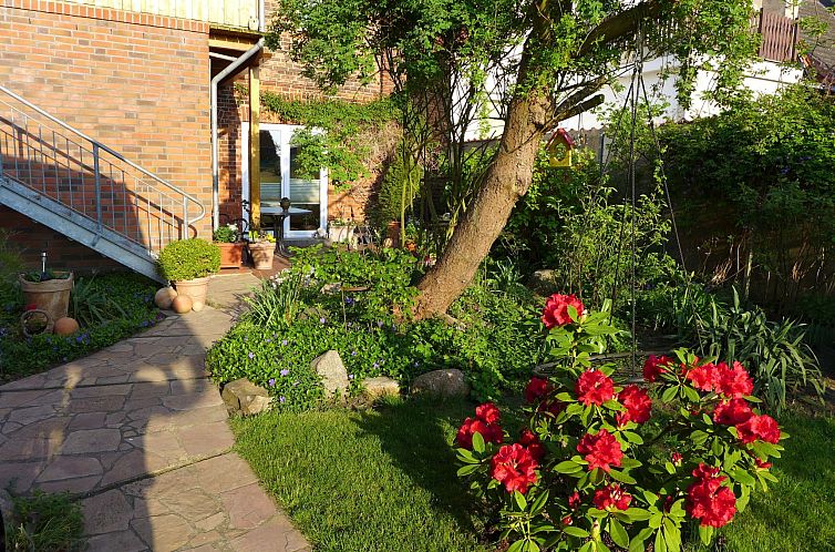 Appartement Charmante Wohnung in Dassow mit Terrasse und Gri