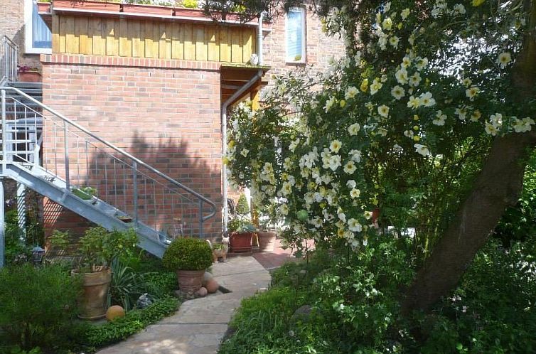 Appartement Charmante Wohnung in Dassow mit Terrasse und Gri