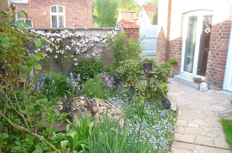 Appartement Charmante Wohnung in Dassow mit Terrasse und Gri